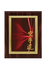 Plachete Personalizate PT 10