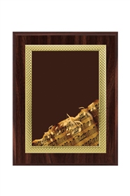 Plachete Personalizate PT 11