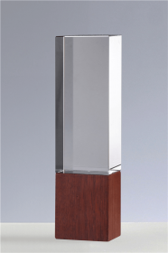 Trofeu Corporate CT 13