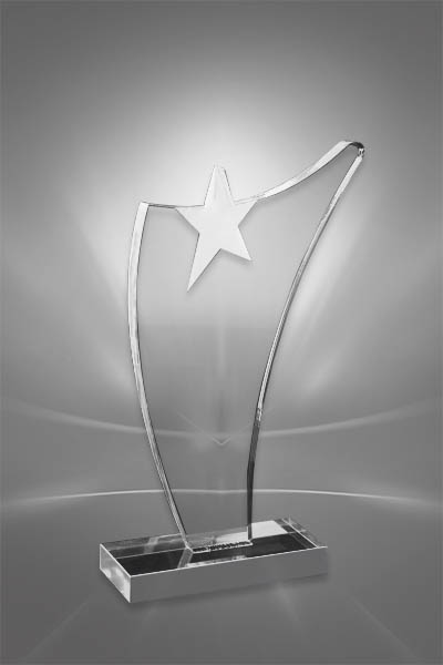 Trofee Personalizate PSW 110