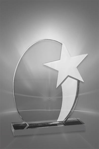 Trofee Personalizate PSW 115